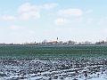 R 036